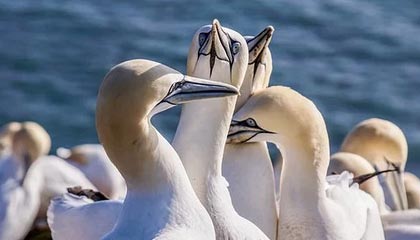 世界杯决赛时间-【现场】陈梦：越是困难的时刻更要做好自己