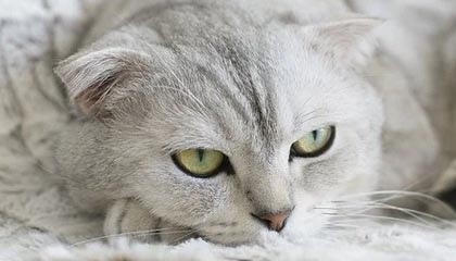 世界杯决赛时间-【现场】陈梦：越是困难的时刻更要做好自己